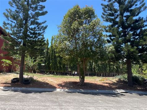 lot for sale las pinas|Lot vacant las piñas .